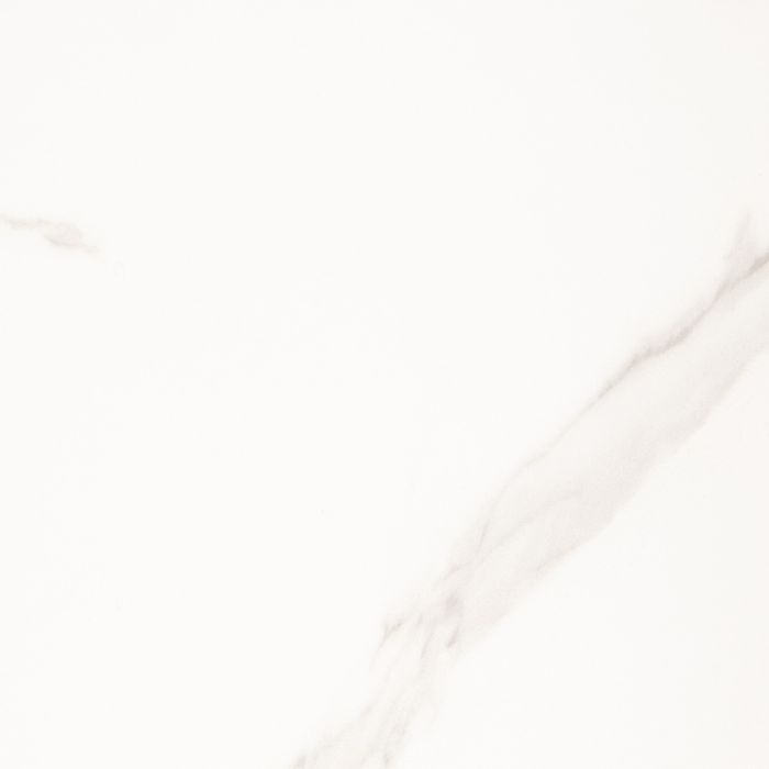 Solid light gray color swatch