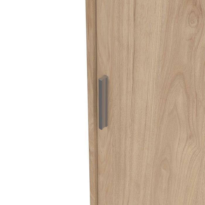 Wooden wardrobe door with a handle on a white background