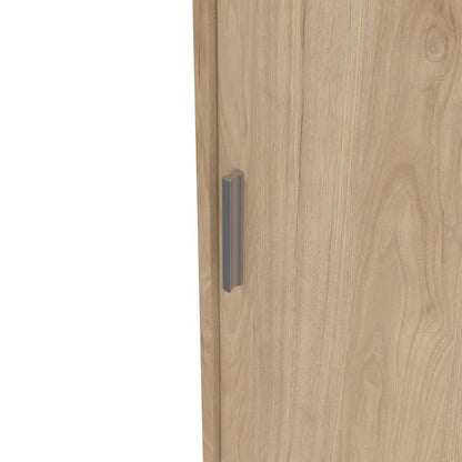 Wooden wardrobe door with a handle on a white background
