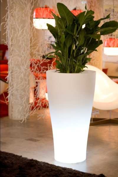 Cone Planters By Skyline Design