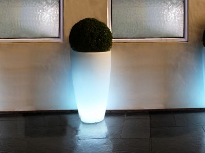 Curved Planter By Skyline Design