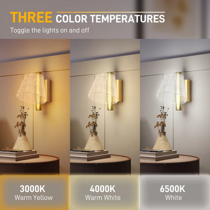 HOMCOM Led Wall Lamp 2 Pack